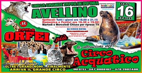 Circo Paolo Orfei più Circo Acquatico a Avellino Biglietti Scontati