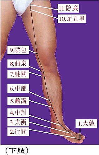 275 “肝經”常用穴道，有哪幾個 ★針灸潘願為中、西、牙醫師、民俗調理人員與民眾講解針灸、經穴、指壓、刮痧、拔罐與常見病症的臨床