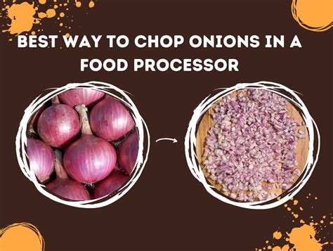 Best Way to Chop Onions in a Food Processor [Step by Step]