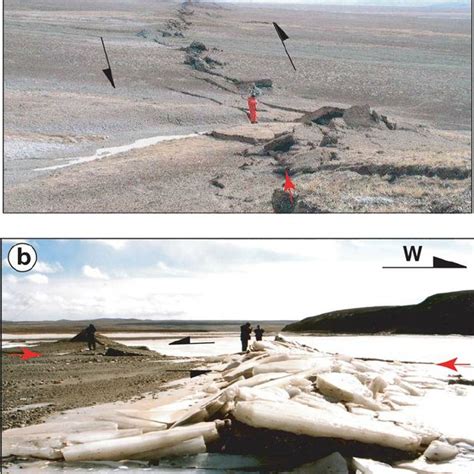 Typical Outcrops Of The Rupture Zone A The Rupture Zone Observed