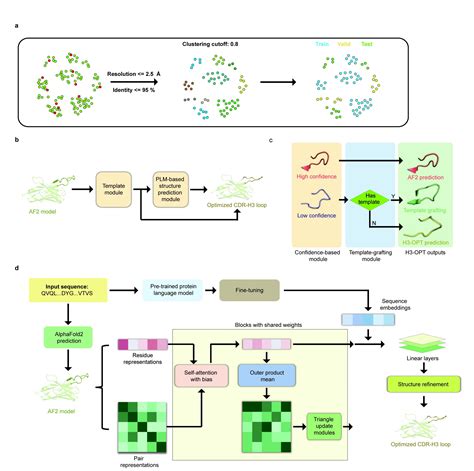 Elife H3 Opt Accurate Prediction Of Cdr H3 Loop Structures Of