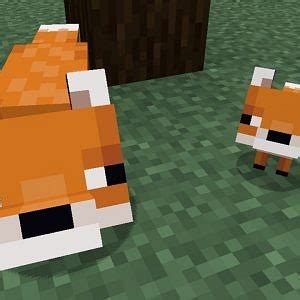 How to Tame a Fox in Minecraft - The SportsRush