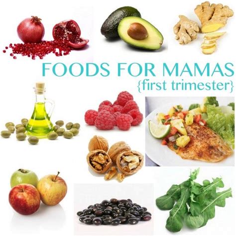 1St Trimester Diet - collectorinter