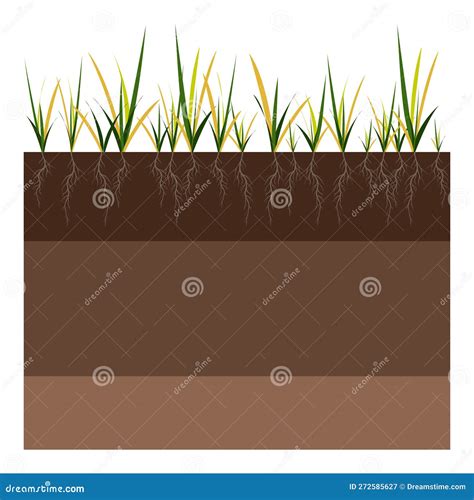 Lawn Care Aeration And Scarification Labels By Stage Before Stock