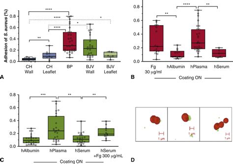 Antiplatelet Therapy Abrogates Platelet Assisted Staphylococcus Aureus Infectivity Of Biological