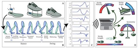 Sensors Free Full Text An Intelligent In Shoe System For Gait