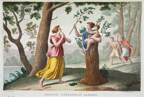 Dryope Into A Tree Book IX Illustration From Ovid S Metamorphoses