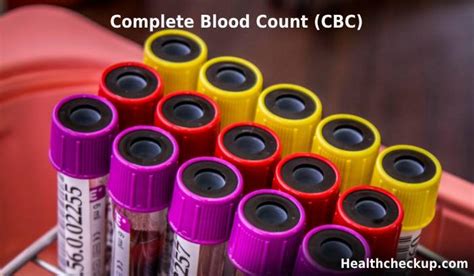 Complete Blood Count Cbc Purpose Procedure Normal Range