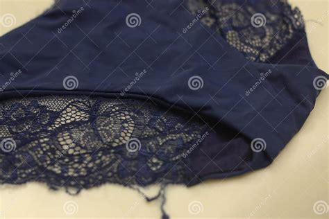 The Modern Classic Blue Floral Lace Luxury Elegant Women Brief Panty