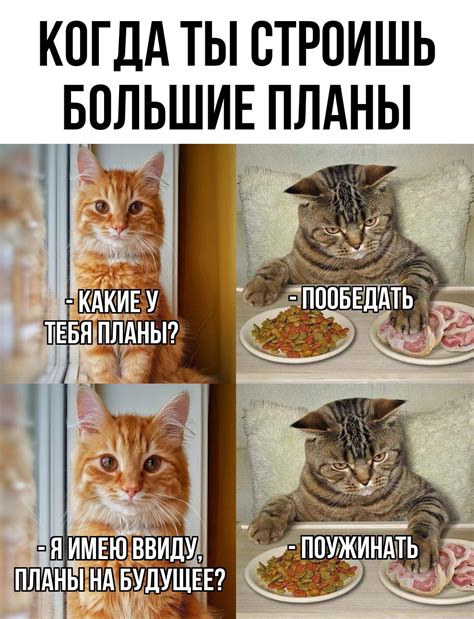 Смех - фото и прикольные картинки