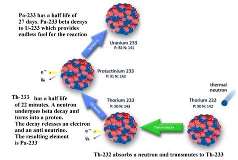 Th 232 To U 233 Basic Nuclear Reactions To Produce Fissile U 233 From