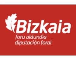 Enviar curriculum Diputación de Bizkaia Ofertas empleo