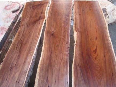 rich tasmanian blackwood