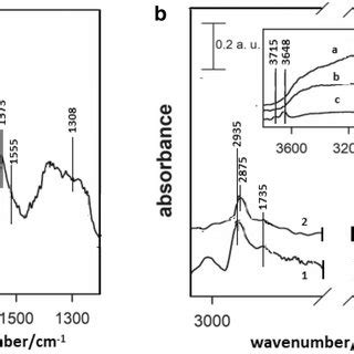 A DRIFT Analysis After CO2 Adsorption On CATALYST 1 B DRIFT Analysis