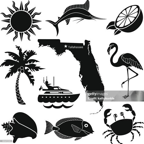 Florida Icon Set High Res Vector Graphic Getty Images