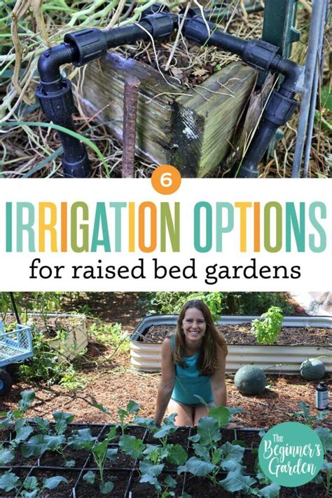 Raised Bed Irrigation Options For Home Gardens Artofit