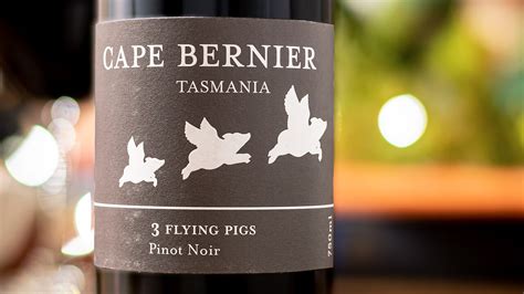 Cape Bernier Tasmanian Pinot Noir 2019 Naked Wines