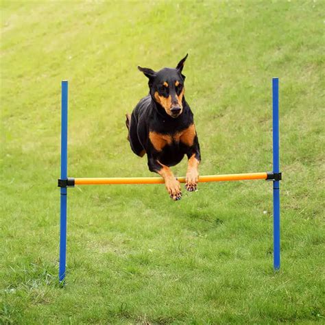 Hoopet Equipo De Entrenamiento Al Aire Libre Perro Agilidad Juegos