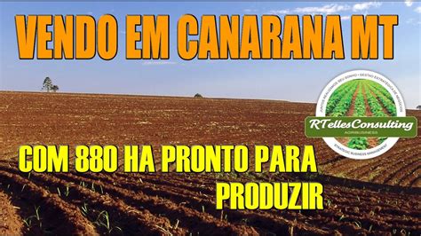 Vendo Fazenda Em Canarana MT 880 0 Hectares YouTube