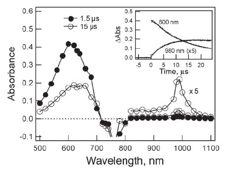 Nanosecond Transient Absorption Spectra Obtained By Nm Laser Light