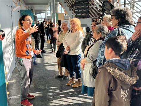 Seremi De Ciencia En La Macrozona Sur Invita A Postular Al Concurso