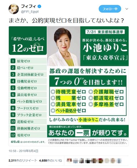 選挙時の小池百合子知事「7つの0（ゼロ）を目指します！！」 フィフィさん「まさか、公約実現ゼロを目指してないよな？」 ｜ ガジェット通信