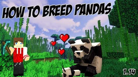 How To Breed Pandas In Minecraft YouTube