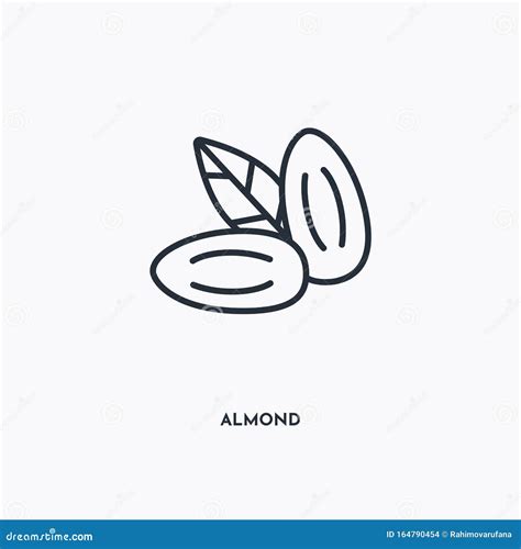 Almond Outline Icon Simple Linear Element Illustration Isolated Line