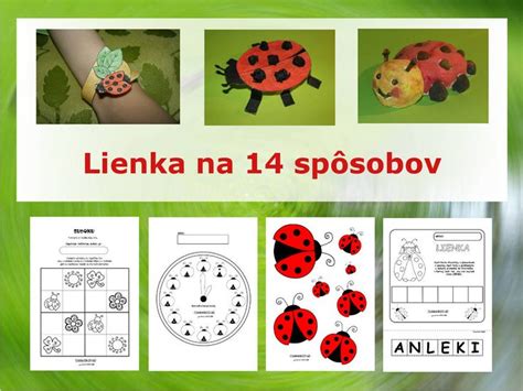 Lienka 14 rôznych aktivít pre deti v ktorých si precvičíte počítanie