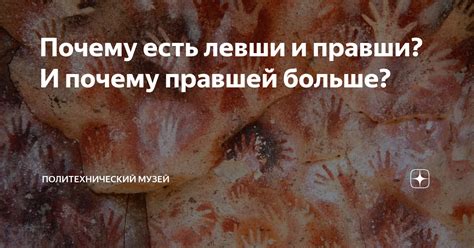 Почему есть левши и правши? И почему правшей больше? | Политехнический ...
