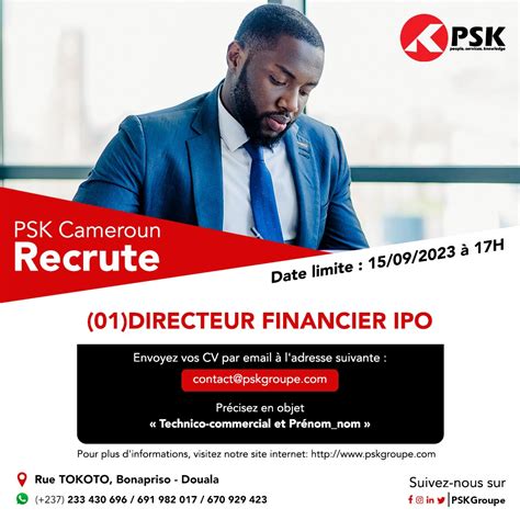 OFFRE DEMPLOI Directeur Financier IPO Introduction à la Bourse