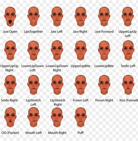 22 Facial Expressions In Binaryvr Sdk - Face Expression Types PNG ...