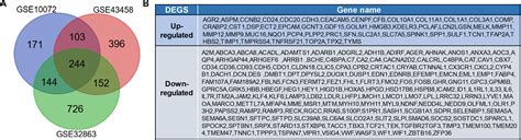 Frontiers Identification Of Key Genes In Lung Adenocarcinoma And