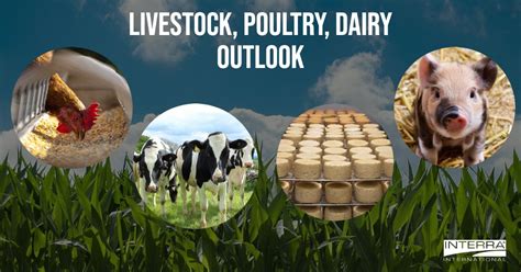 Livestock Poultry Dairy Outlook Interra International