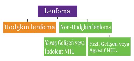 Lenf Kanseri Lenfoma Belirtileri ve Tedavi Yöntemleri Büyük Anadolu