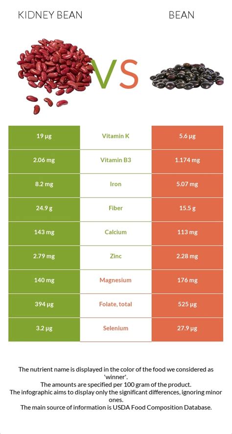 Kidney Beans Vs Beans — In Depth Nutrition Comparison