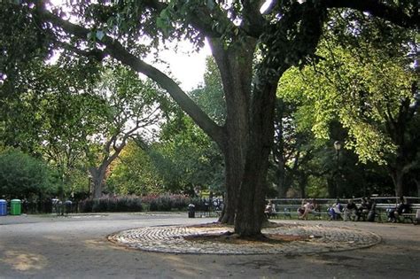 Hare Krishna Tree New York New York Atlas Obscura