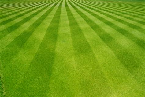 Perfectly Striped Freshly Mowed Garden Lawn LandMaster Outdoor Services