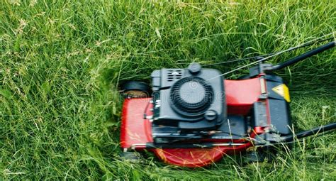 A petrol lawn mower stock image. Image of strip, tall - 245734513