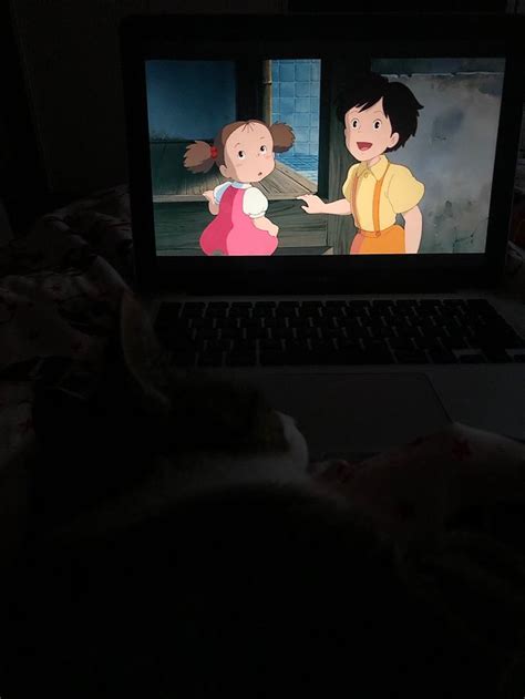 Ghibli Cat :) | Studio ghibli movies, Ghibli, Studio ghibli