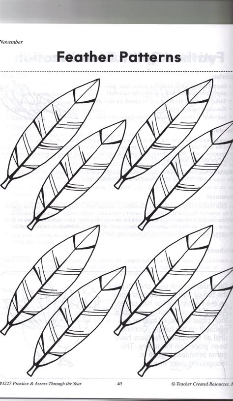 Wild Turkey Feather Pattern