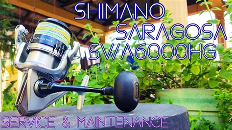 Shimano Saragosa Swa Hg Reel Service And Maintenance Youtube