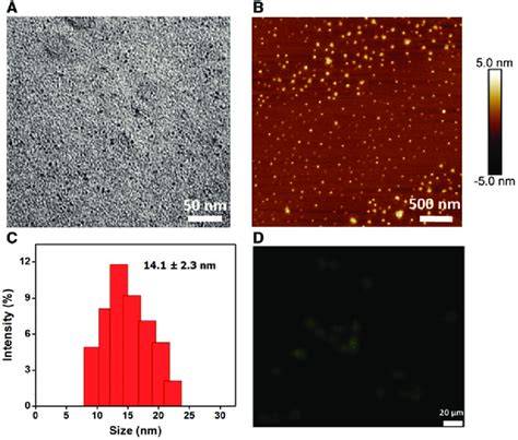 Characterization Of Oh Gqds Nanoparticles A Tem Image Of Oh Gqds