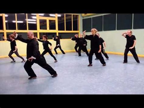 Tai Chi Yang Forme La Terre Youtube Tai Chi Tai Light In