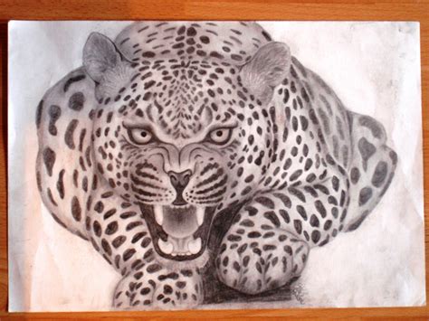 Jaguar - Drawing Fan Art (31846749) - Fanpop