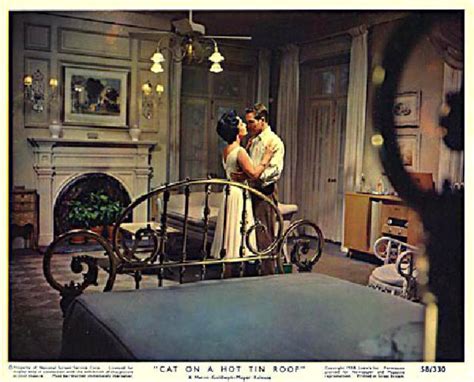 Cat On A Hot Tin Roof Original U S Color Photo Posteritati