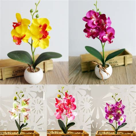 Plantes Composition Florale Fleurs Artificielles Orchid Es Papillon