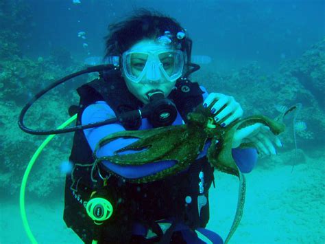 Hawaii Scuba Diving Sites, Dive Locations