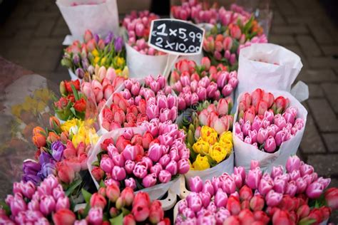 The Famous Amsterdam Flower Market Bloemenmarkt. Multicolor Tulips ...