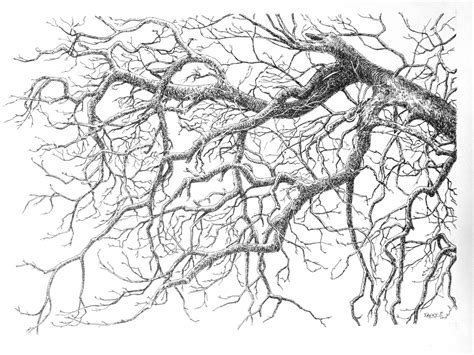 Arbre Noir Dessin Par Pierre Fabry Artmajeur